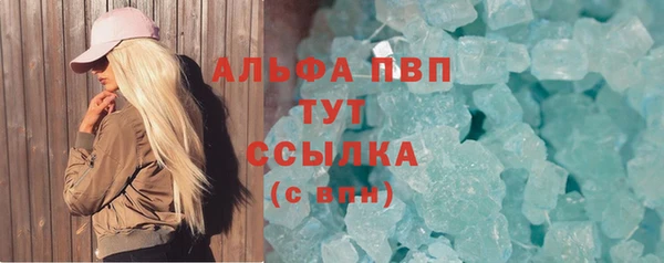 индика Бугульма