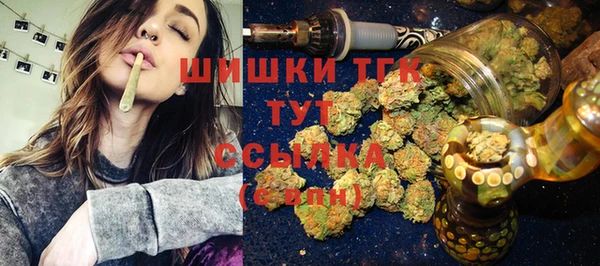 первитин Богданович
