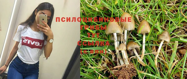 мет Богородицк