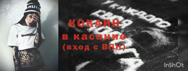 индика Бородино