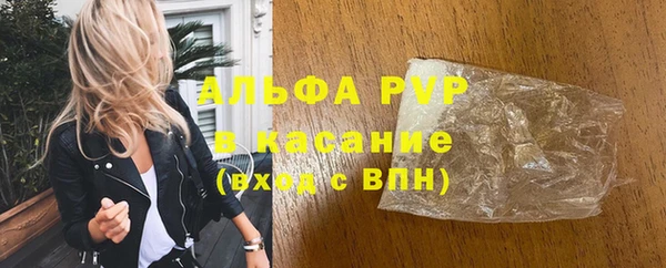 индика Бугульма