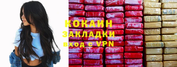 первитин Богданович