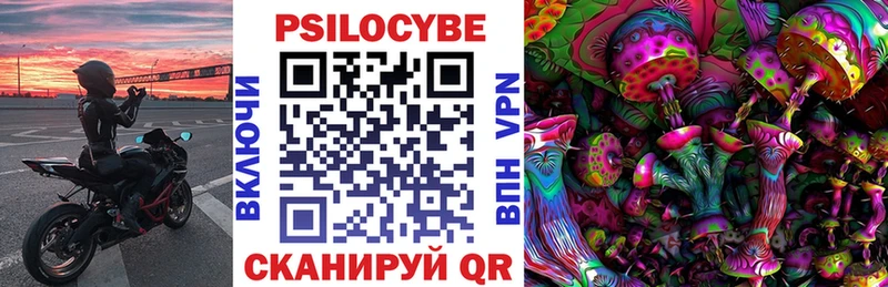 Купить закладки  Талица  Псилоцибиновые грибы Psilocybe 
