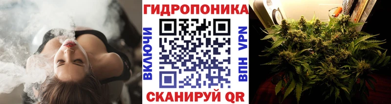 Каннабис AK-47 Талица